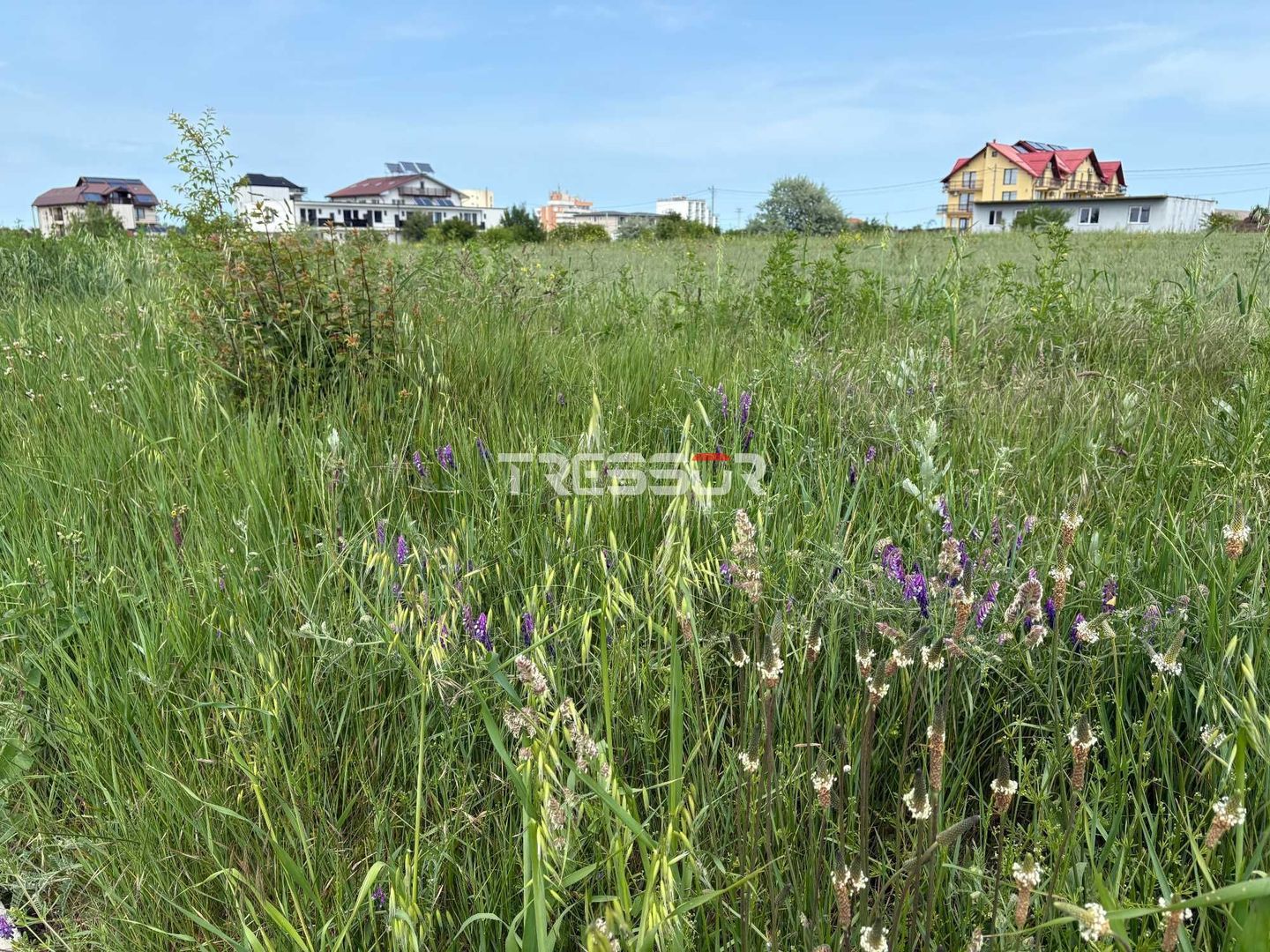 Teren intravilan 633 mp, Costinești, zonă cu potențial investițional - Poză 2