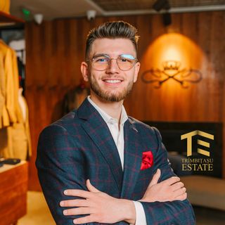 Dan Consulea - TRÎMBIȚAȘU ESTATE