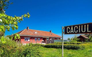 1000mp teren intravilan Caciulati - Poză 3