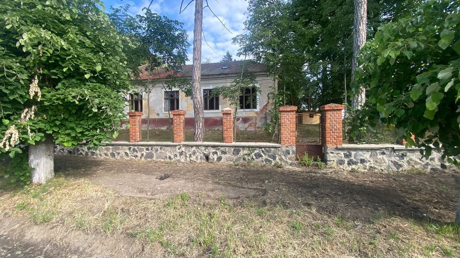 VILA DE VANZARE IN BALINT - Poză 2