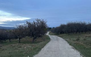 Teren 7199mp Intravilan cu Vedere Panoramica Superbă, Ideal Investitie - Poză 23