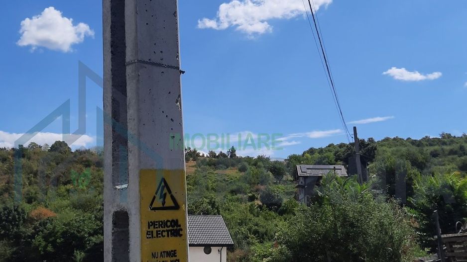 Teren 10.000 mp în Tomesti, zona Vladiceni – oportunitate de investiție - Poză 6
