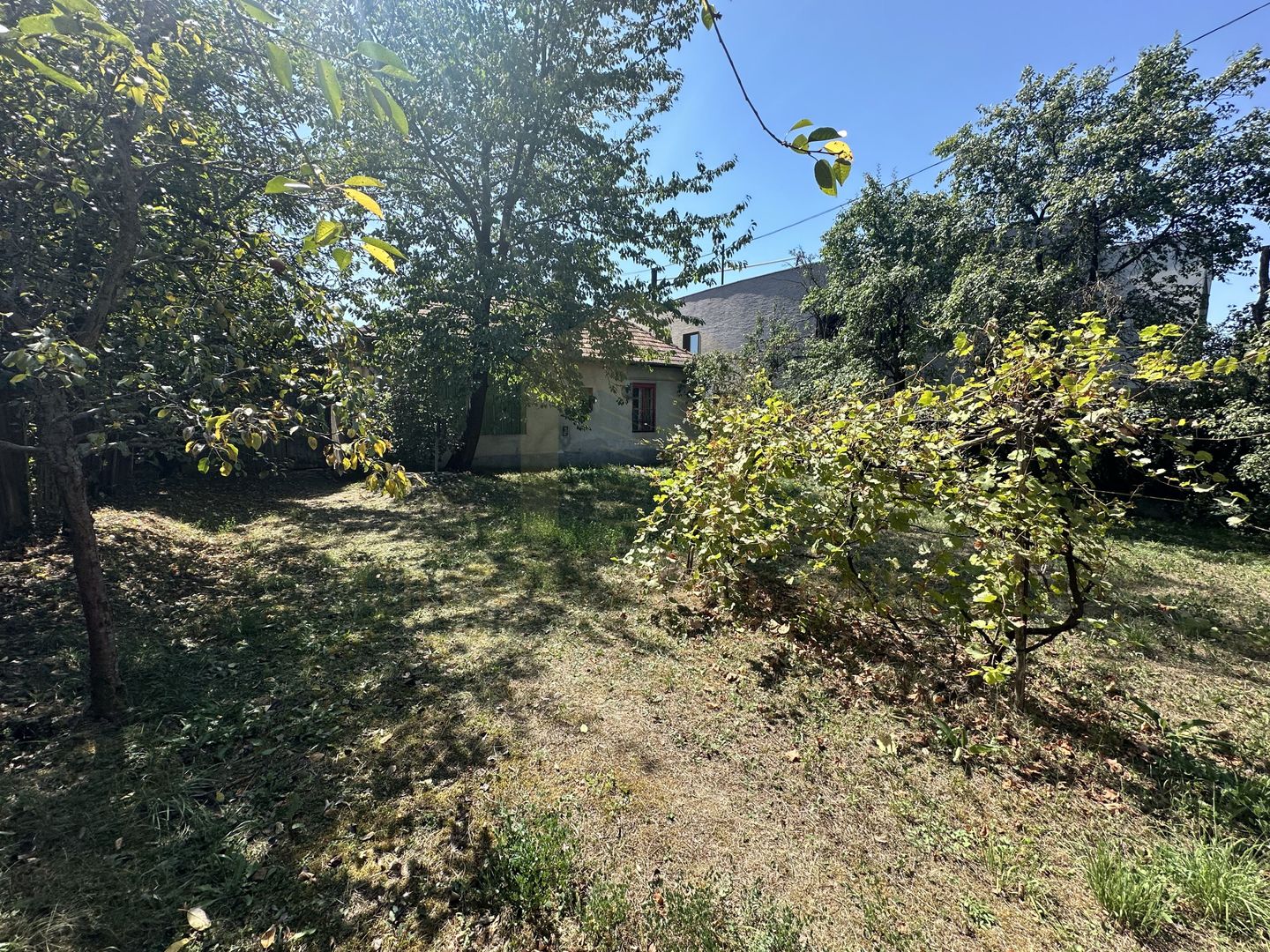 Vanzare teren 2387 mp, front 17,3 ml, Serpuitoare , Gruia - Poză 3