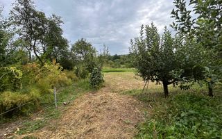 Proprietate de vânzare | 15 km de Onești, DN11 – direcția Bacău - Poză 8