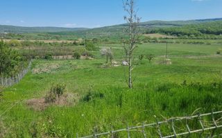 Teren de 1000 mp în Comuna Ciurea, Iași – Oportunitate de Investiție - Poză 1