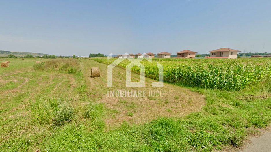 Teren intravilan – 2.900 mp - Investiție | Jucu de Sus - Poză 3