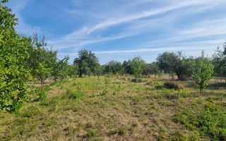 Teren 2000 mp de vânzare – Comana, deschidere la lac, aproape de Parcu - Poză 12