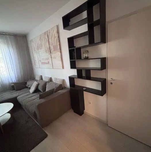 APARTAMENT ELEGANT ZONA FLOREASCA - Poză 2