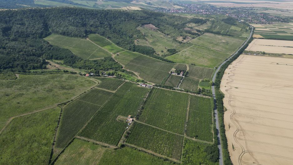 Vie Tradițională „Halta Lupilor” - Poză 30