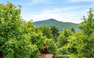 Casa 5 camere | Moderna | Teren 1036 MP | Tocile - Poză 14