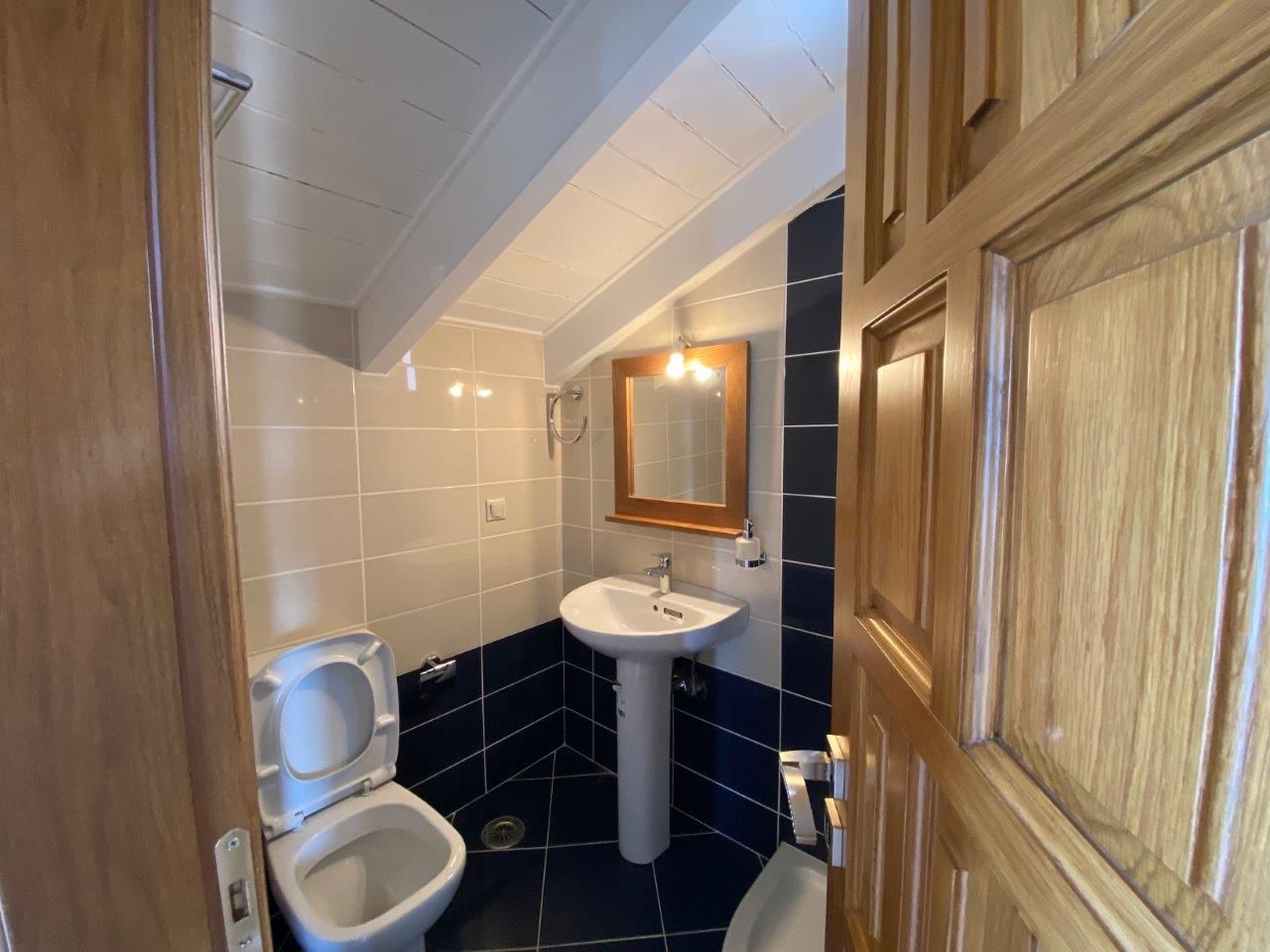 Vile Lefkada - Poză 10