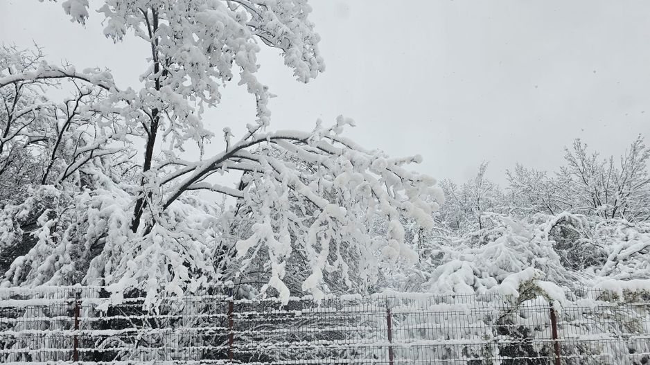 AZURA Imobiliare - Casa la cheie Mosoaia - pret de apartament! - Poză 19