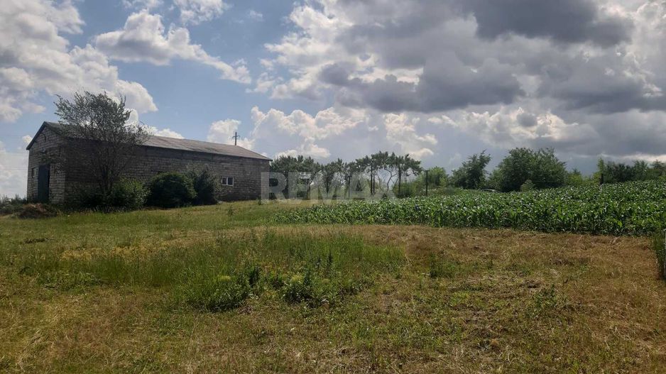 Teren cu spații industriale sau depozitare - Poză 7
