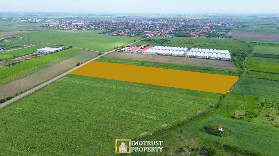 Teren intravilan de vânzare – 10.336 mp cu PUZ aprobat 16 loturi,Arad - Poză 4