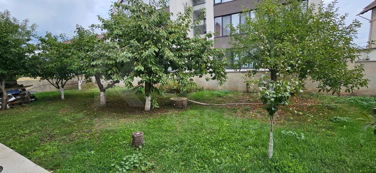 Chirie, apartament, 5 camere, Strada Haiducilor, Codru - Poză 10