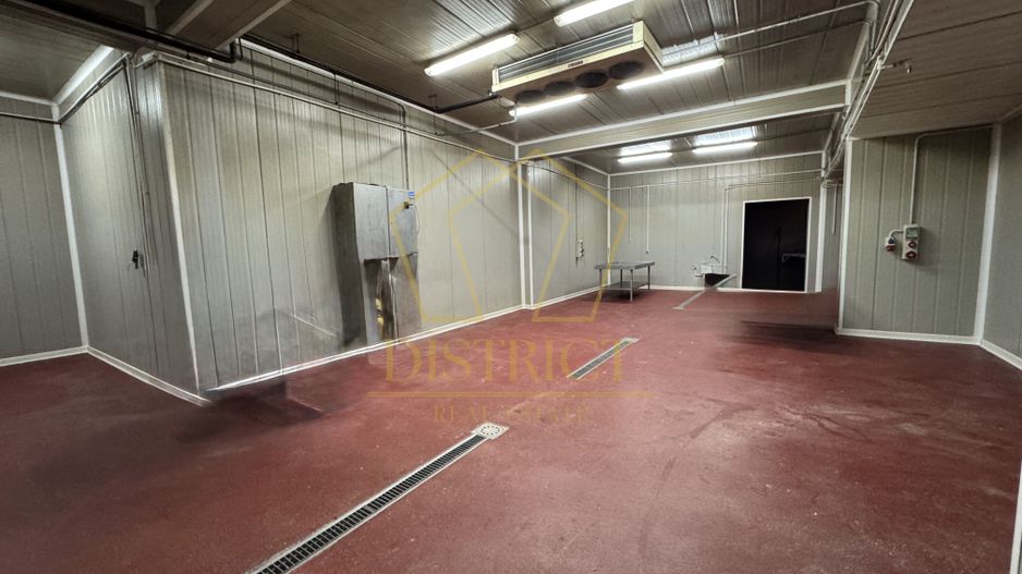 Hala pentru depozitare si distributie | Dumbravita - Poză 7