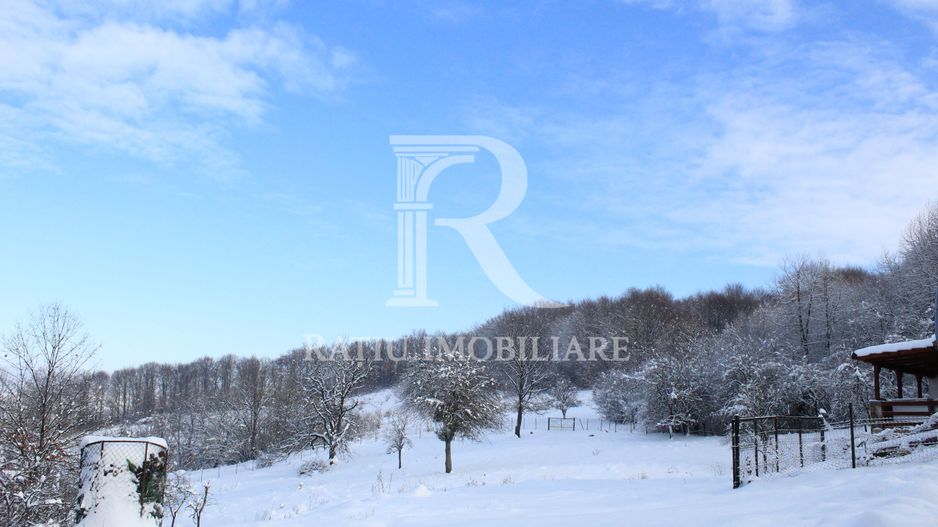Proprietate rară | 4458 mp teren intravilan | Casă solidă, natură, liniște totală. | Bratca, Bihor. - Poză 50