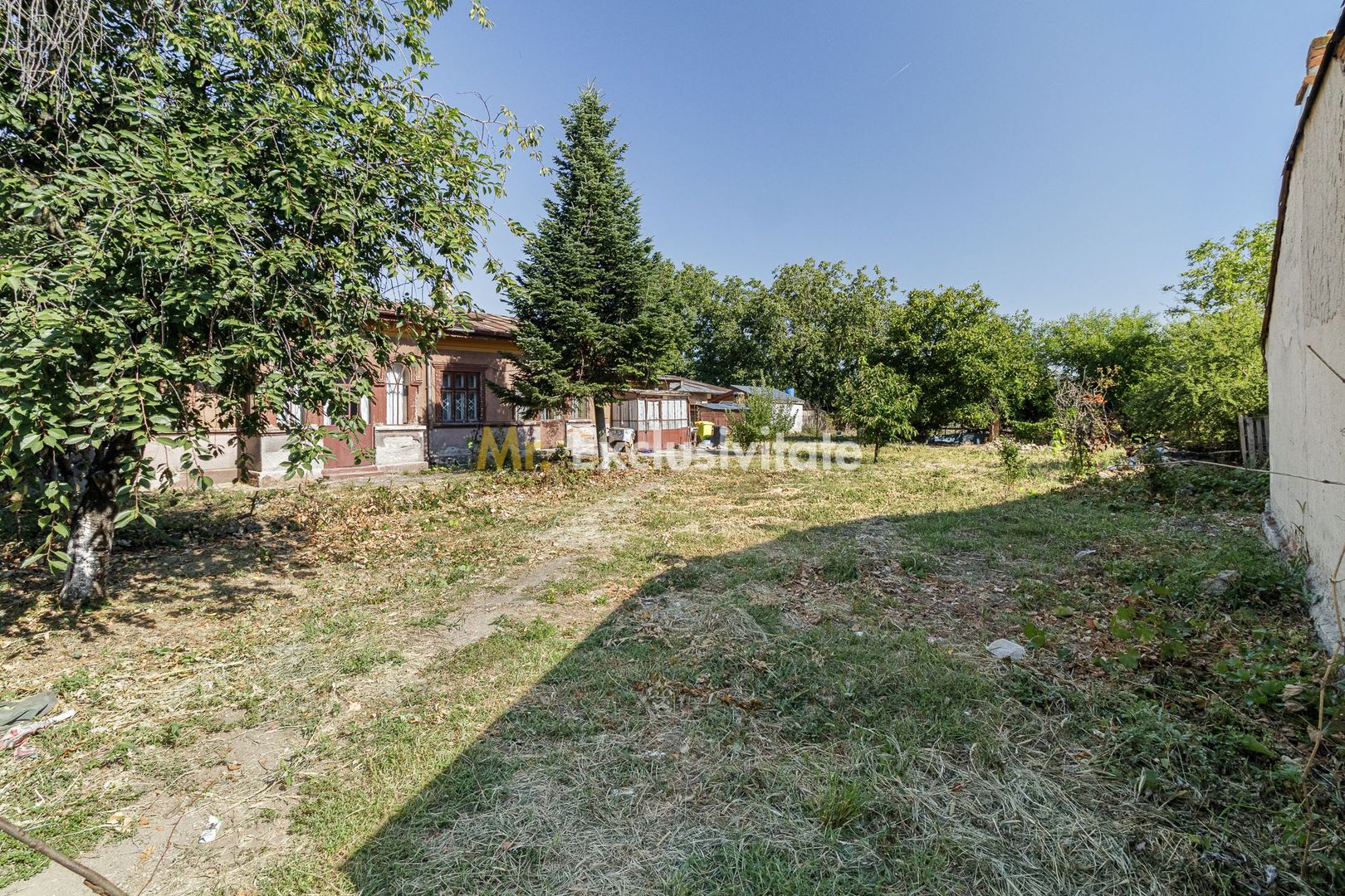 teren 3889 mp Domnesti Primarie - Poză 4