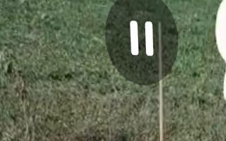 Teren de vanzare Peris ilfov - Poză 2