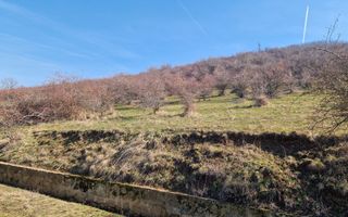 Teren extravilan,  zona si priveliste superba, Cuvin - Poză 6