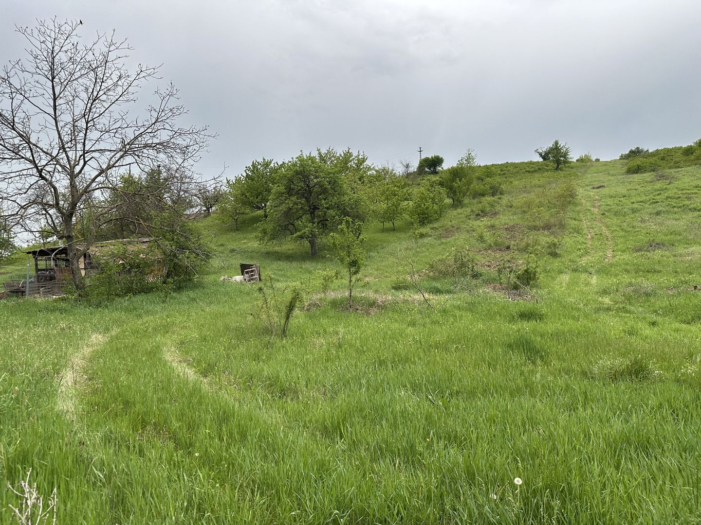 Teren 4062 mp de vanzare in zona Dealuri Oradea - Poză 4