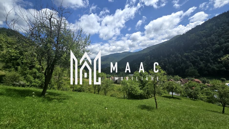 Teren | 2946MP | Priveliște Panoramică | Râu Sadului - Poză 5