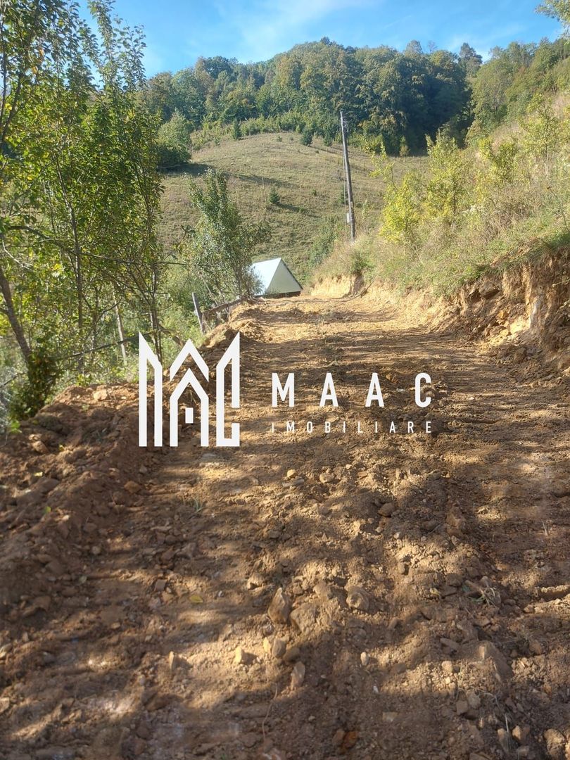 Super ofertă 35000 teren in Muntii Apuseni - Poză 33