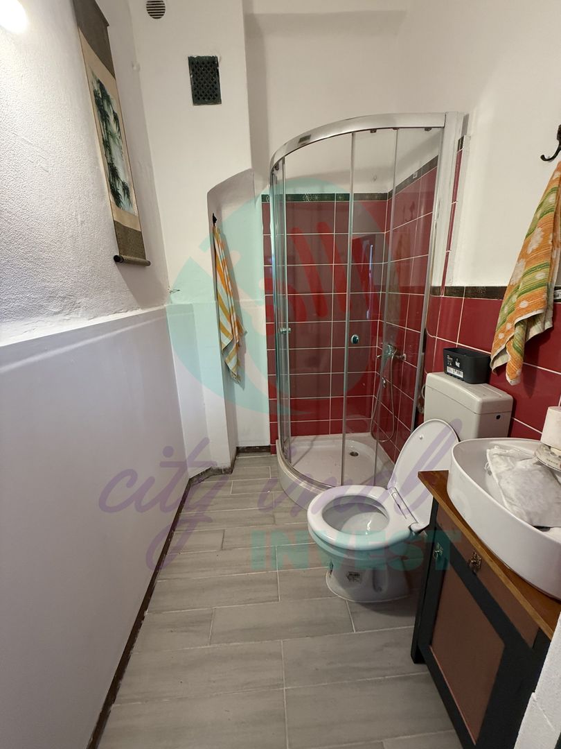 Casa singura in curte intre Calea Calarasilor si Pache Protopopescu - Poză 12