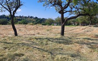 Teren Intravilan pentru Constructie | Potential Rezidențial | Feleacu - Poză 3