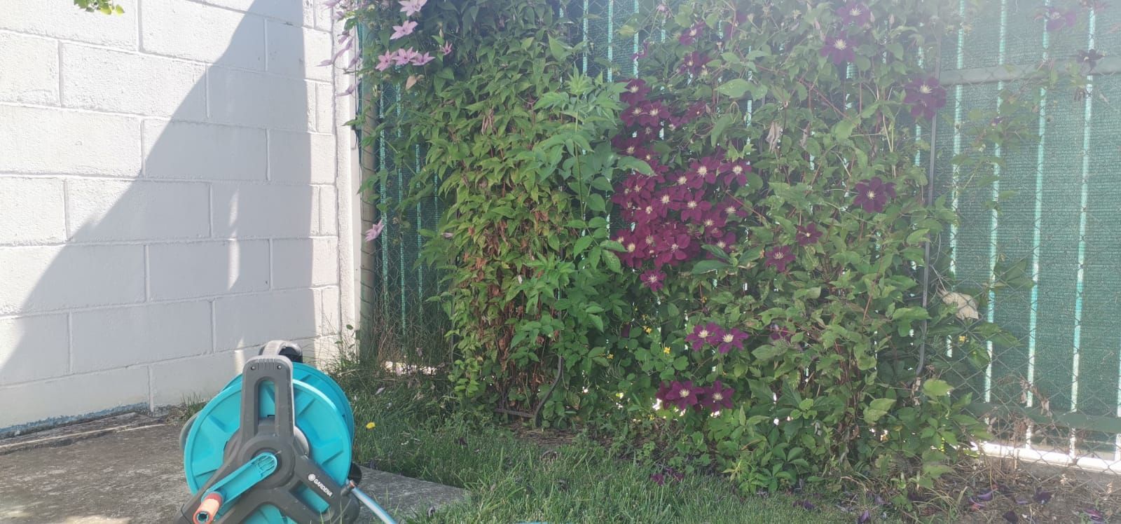 Casă deosebită în Fratellia, cu teren 657 mp - Poză 10