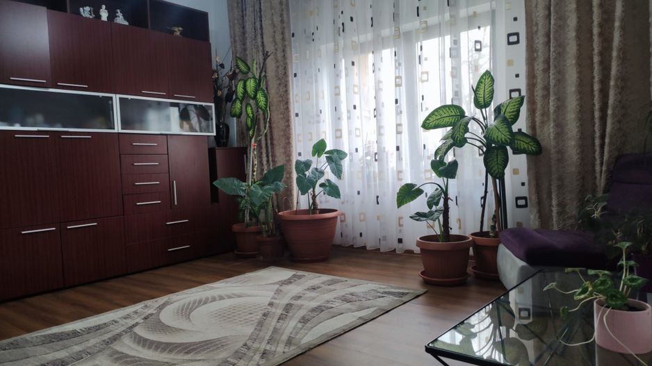 Apartament 2 Camere la Vila, Grigorescu - Poză 7