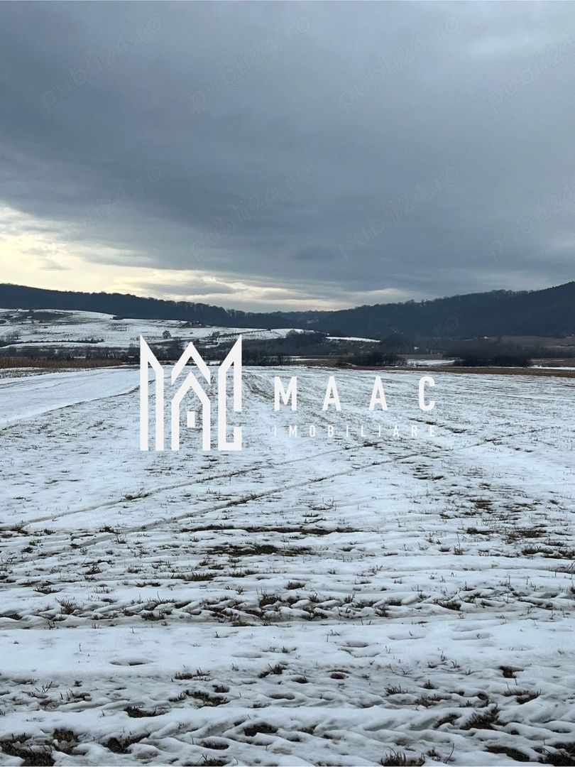Teren extravilan de vânzare | Bradu | 10.000 mp | intabulat CF - Poză 3