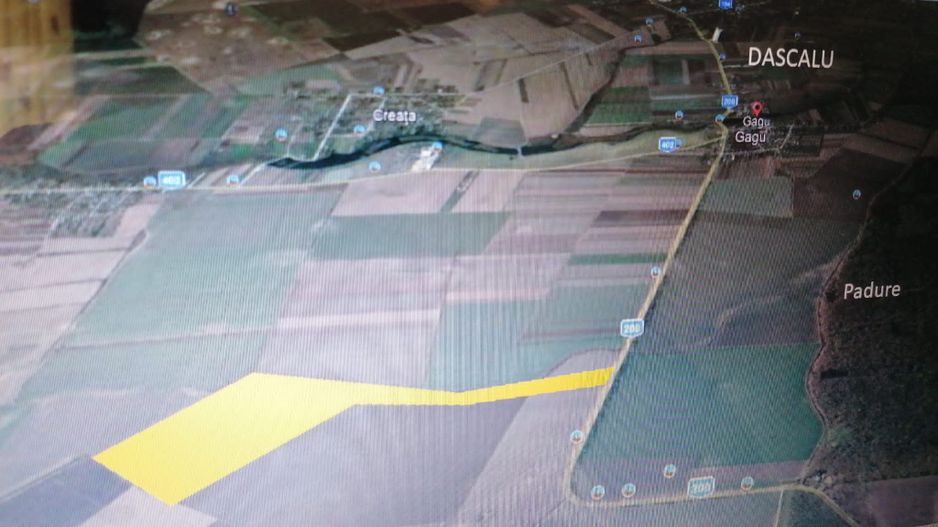 Teren 25.26ha Dascalu / DJ 200 - Poză 6