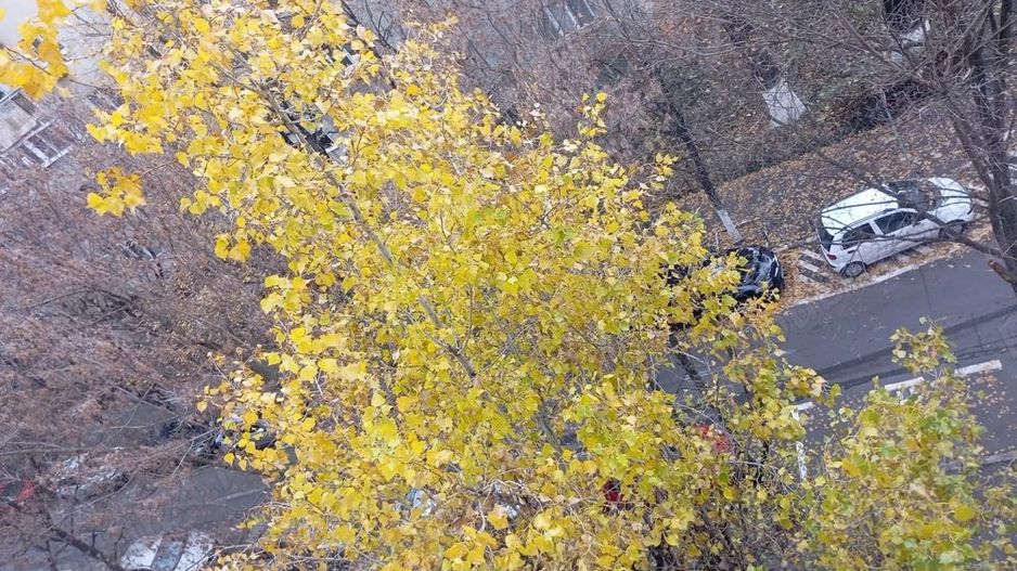 De inchiriat garsoniera 45mp, Monitorul Oficial/13 Septembrie - Poză 10