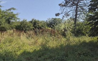 Teren intravilan pentru construcții locuințe, zona Galați, Iași - Poză 1