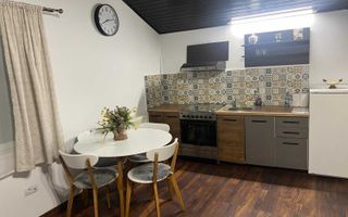 apartament la casa in Copou - Poză 1