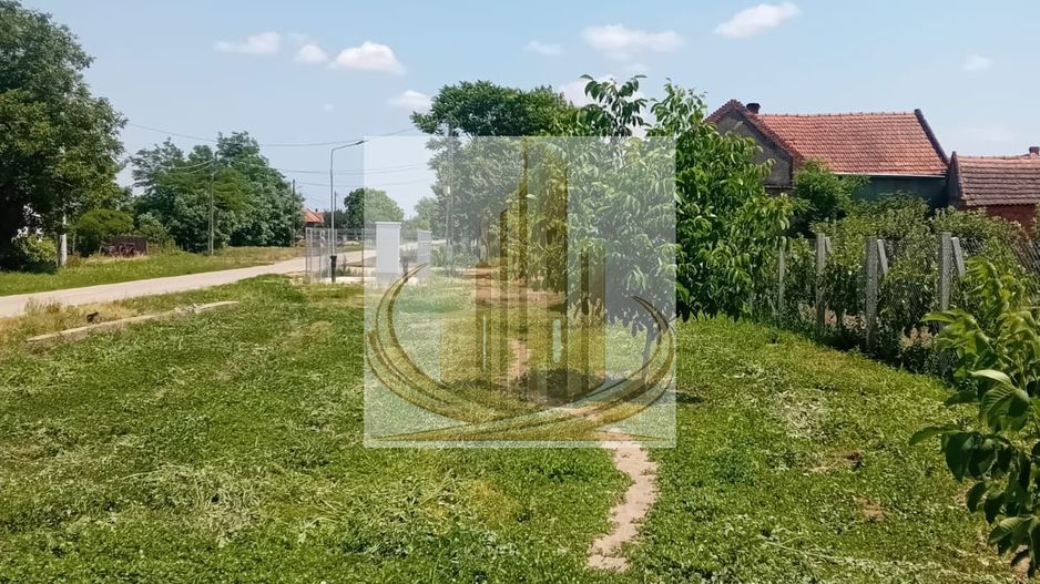 Vand/Schimb Livada Belint 16000mp - Poză 12