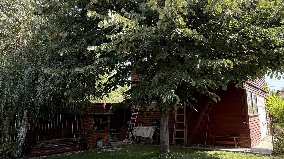 CASA INDIVIDUALA - Poză 15