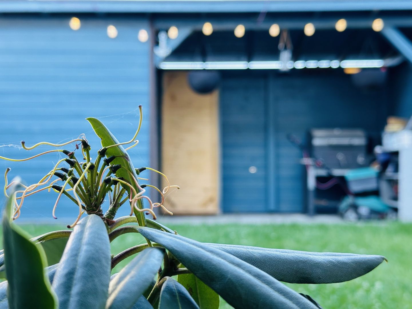 INCHIRIAT - Casa Sacalaz - Segmentul Premium | 2 dormitoare & 2 bai, 88 mp - Poză 1