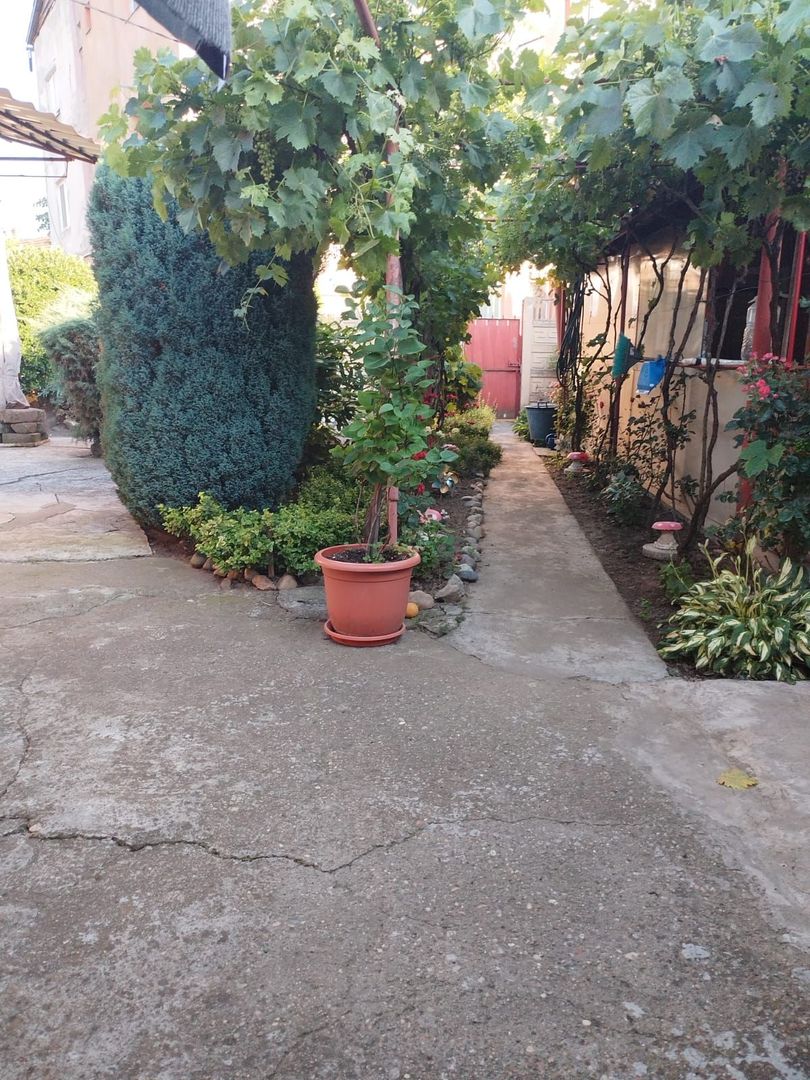 ageuropa.ro vinde casa in zona 14 Mai cu 3 cam. si teren aferent de 500mp. - Poză 6