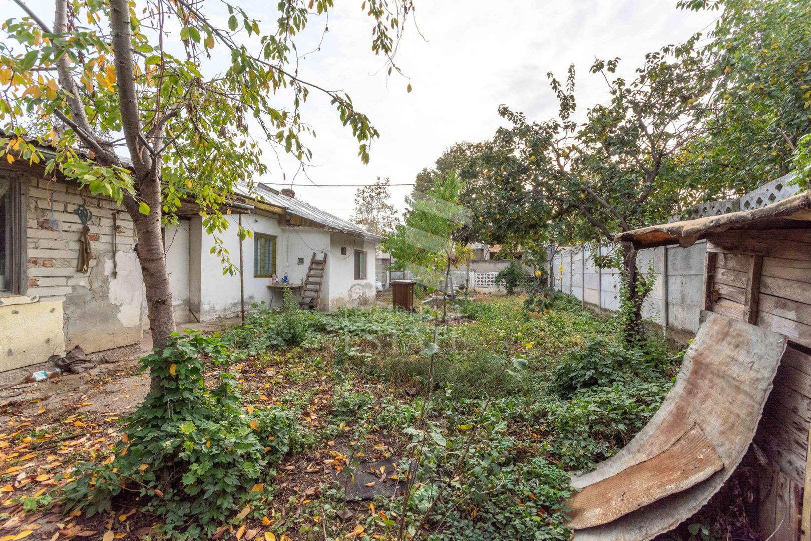 Straulesti - str. Pietrosita nr. 10, Casa demolabila cu teren 388 mp - Poză 6