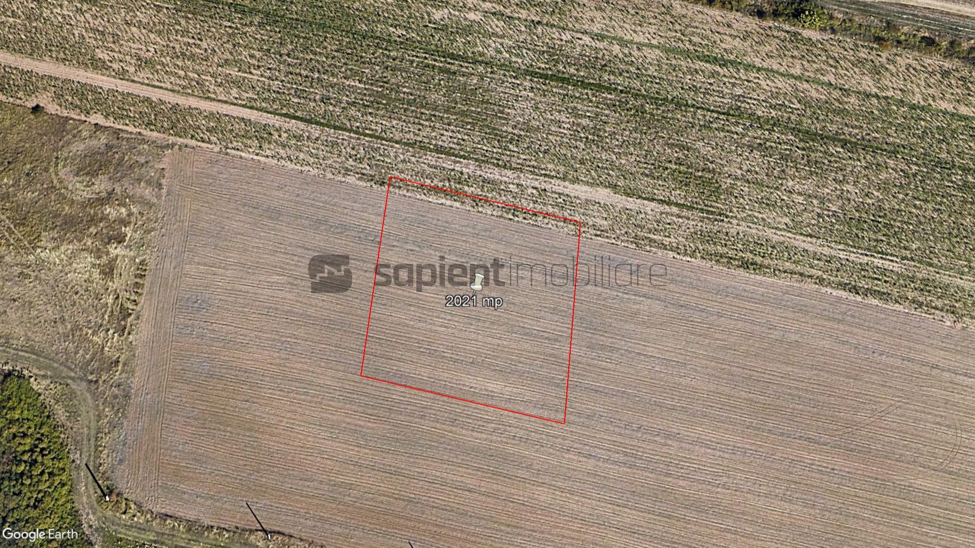 Sapient | Pachet de 4 terenuri în zona Grigorescu - Poză 7