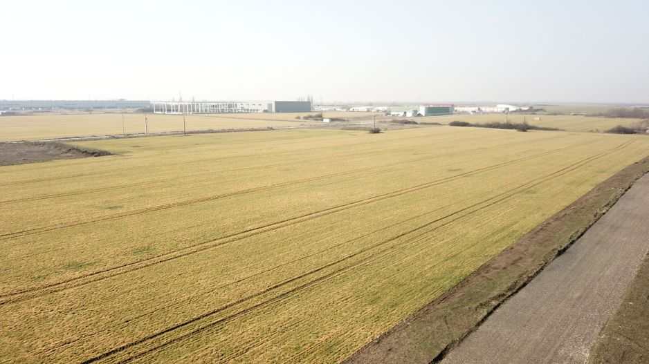 Teren industrial parcele 5.000  zona HAMILTON-Giarmata - Poză 5