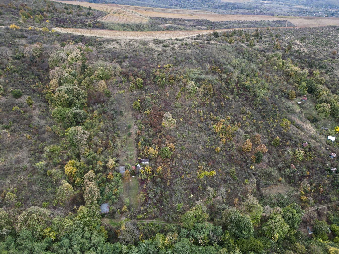 Teren 18,300mp Ghioroc - Poză 3