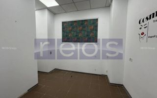 Spatiul comercial de inchiriat Bulevardul Ghencea - Poză 10