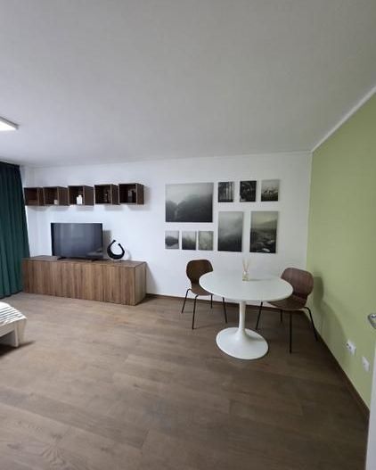 Prima Inchiriere Garsoniera -Unirii, Pet Friendly, Pret Negociabil - Poză 8