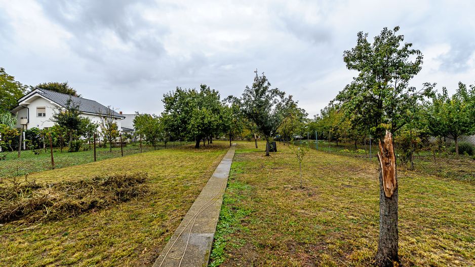 Casă cu teren de 1440 mp, Aradul Nou - Poză 5