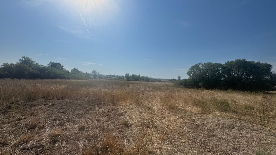 Teren intravilan 5755mp Fughiu, Zona Podgoria - Poză 2