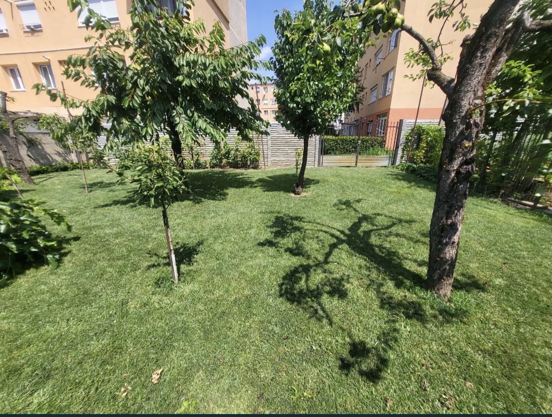 BRASADAS vinde casa individuala 3 camere în zona 14 Mai. - Poză 4