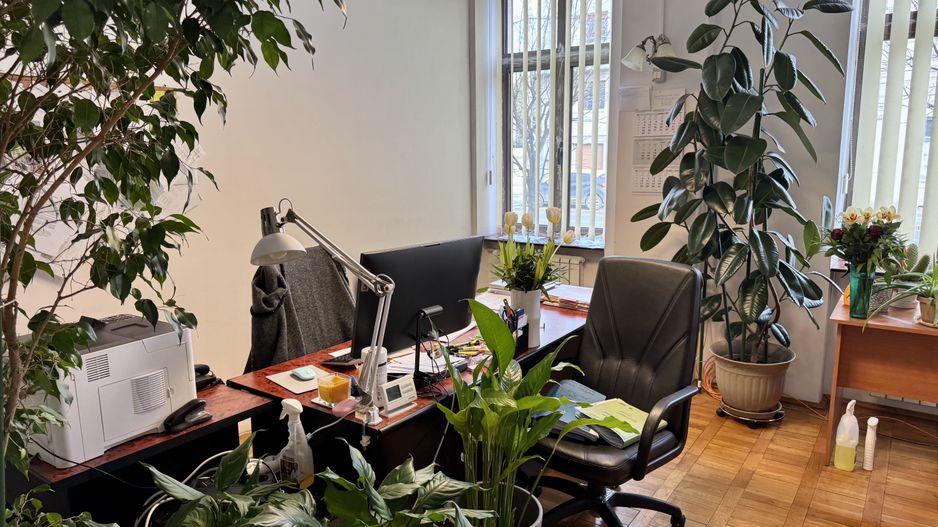 Brâncoveanu  Sp+P+M cu extindere P+1E+M pretabilă afacere - Poză 40